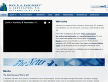 Tablet Screenshot of davidakaminsky.com